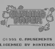 Image n° 1 - screenshots  : Burning Paper